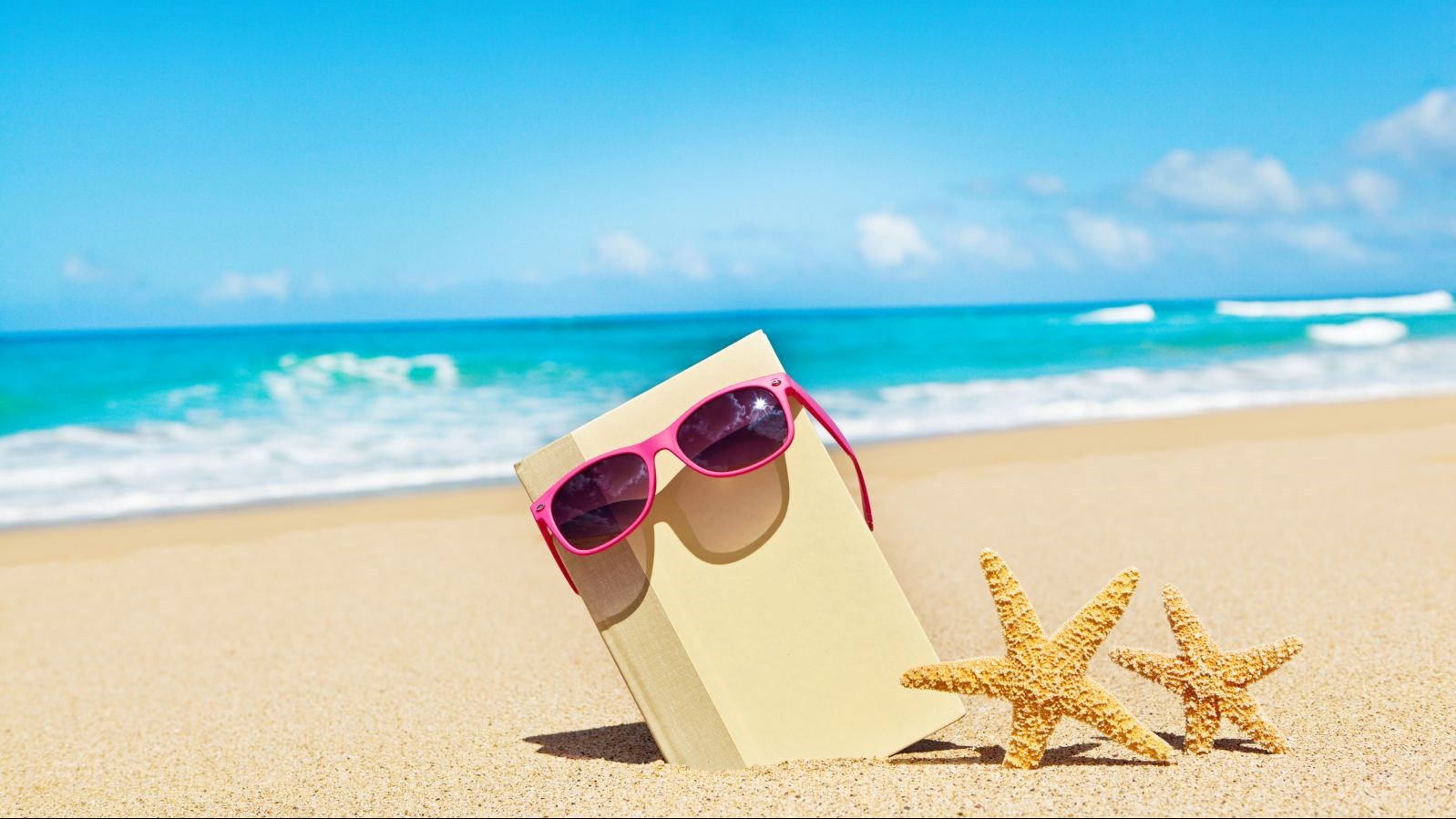 Beach scene with book starfish and sunglasses